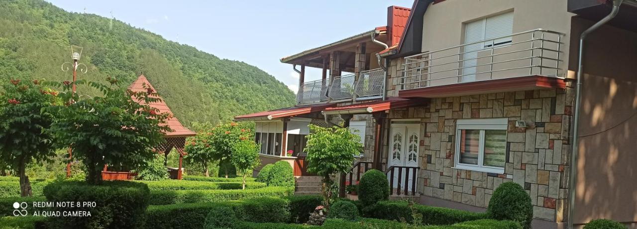 Guest House Vila Aleksa Bogutovac Exteriér fotografie