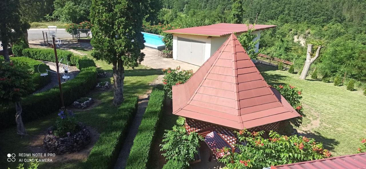 Guest House Vila Aleksa Bogutovac Exteriér fotografie