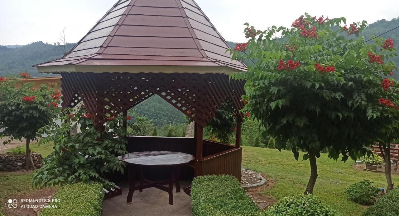 Guest House Vila Aleksa Bogutovac Exteriér fotografie