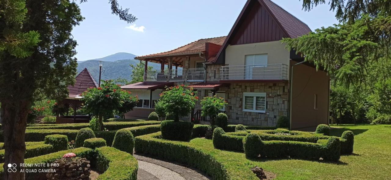 Guest House Vila Aleksa Bogutovac Exteriér fotografie