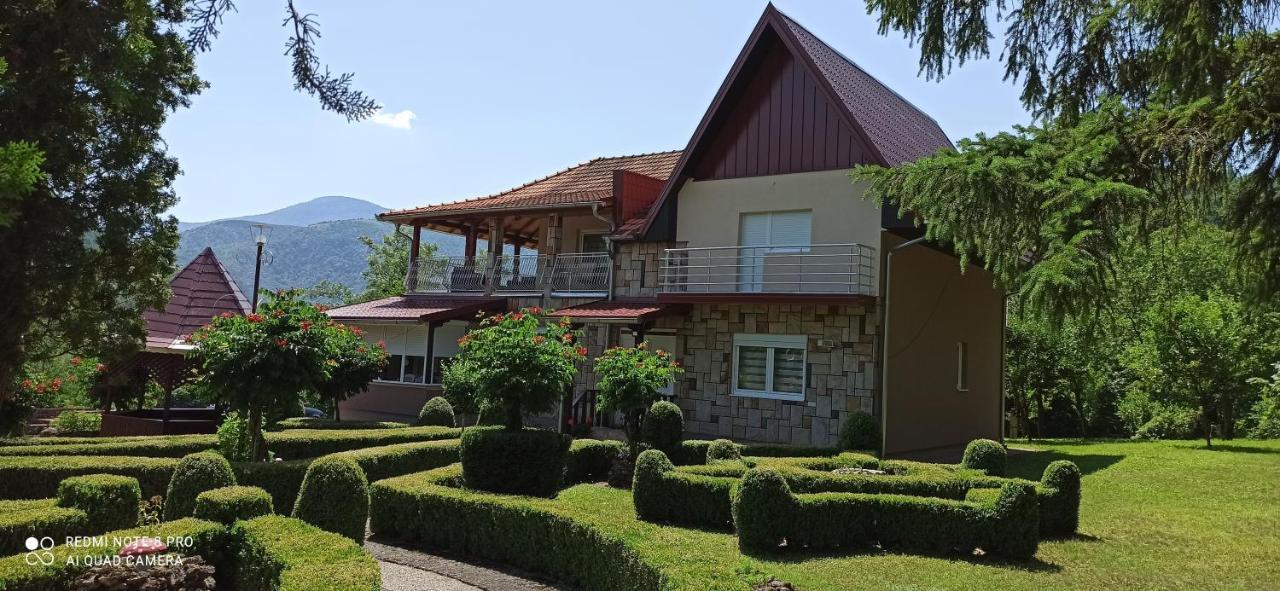 Guest House Vila Aleksa Bogutovac Exteriér fotografie
