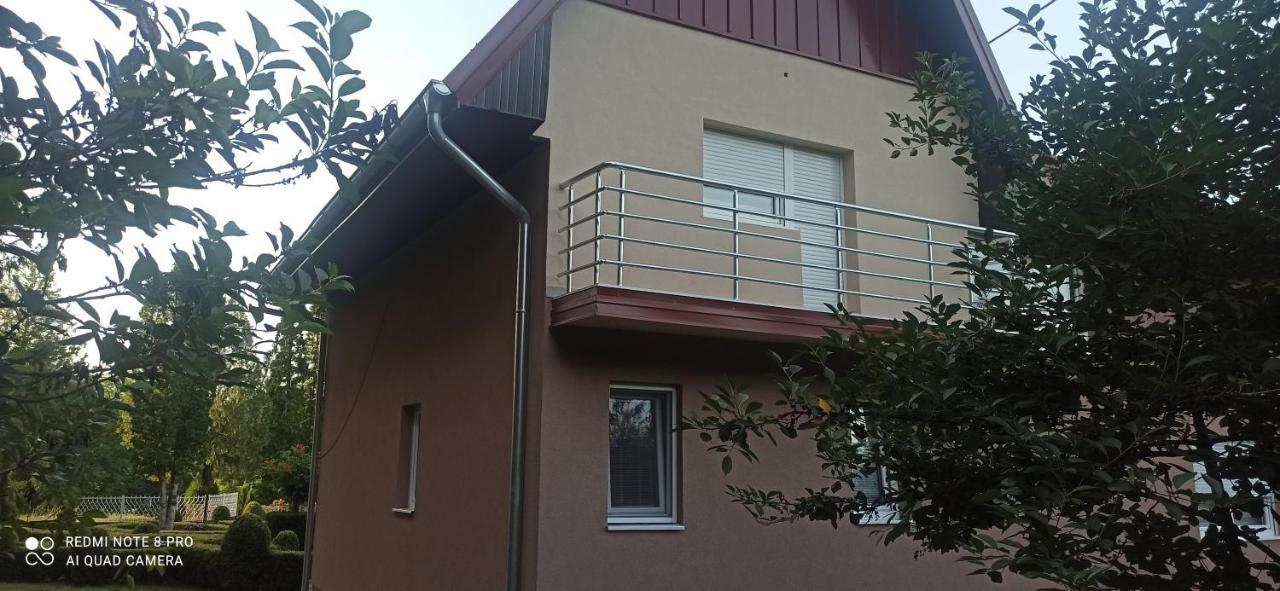 Guest House Vila Aleksa Bogutovac Exteriér fotografie